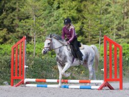 IMG_0588_web